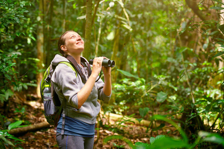Hammock-Universe-Blog-Featured-Image-Watching-Wildlife-How-to-Observe-Animals-in-Their-Habitat-Safely